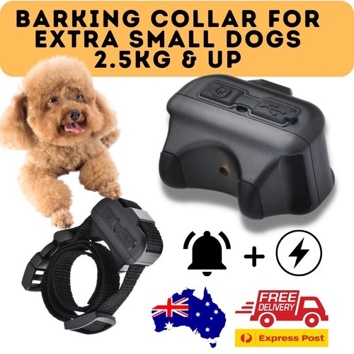 Best miniature bark collar - miniature, xs