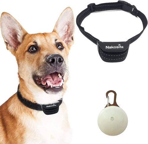 Pet2433 best anti - best,